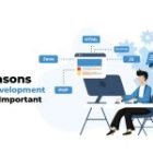 Top 5 Reasons Why Web Development Is Extremely Important